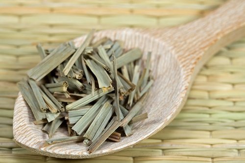 citronella