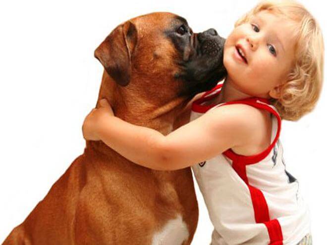 Dreng der krammer hund