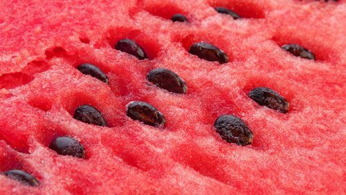 Fordele ved at tilføje vandmelonkerner til din kost