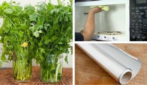 7 fejl vi laver i køkkenet