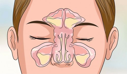 6 tips til at rense en tilstoppet næse på få minutter