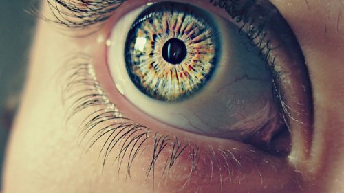 7 mærkelige kendsgerninger om dine pupiller