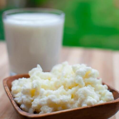Probiotika findes bl.a. i mælkeprodukter - deribland kefir