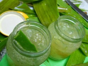 Sådan laver man hjemmelavet aloe vera gelé