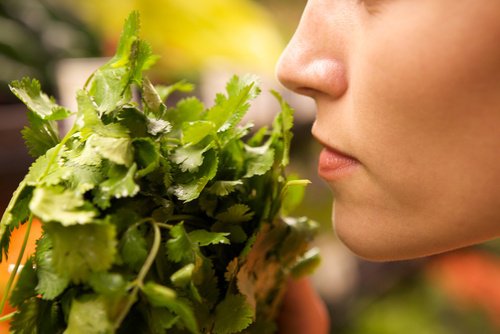 Kvinde der lugter til groent - holde maden frisk