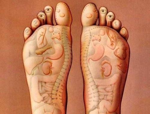 Hvis du sover med løg på dine fødder kan du opnå mange af de positive egenskabe som løg besidder