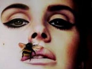 5 tegn på, at du er en giftig person