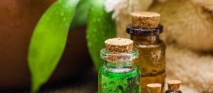 Tea-tree olie: Den fantastiske olie med utallige fordele