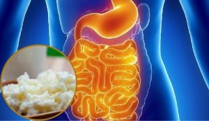 Sådan gendanner du din tarmflora naturligt