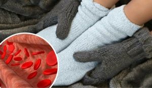 Beskyt dit blodomløb og bekæmp betændelse