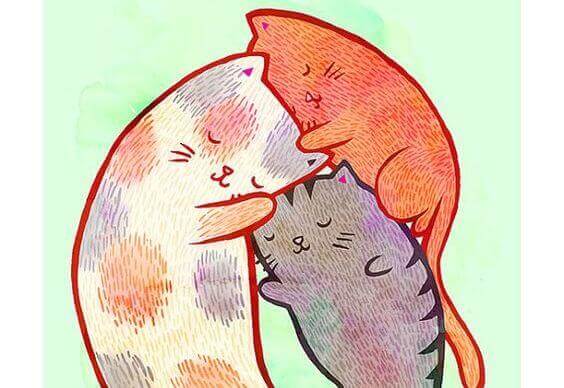 Katte - Vigtigheden af at vaere hoeflig