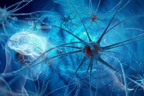 Neuroner
