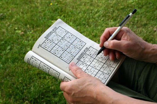Person der loeser sudoku