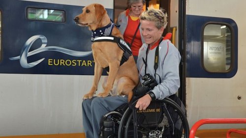 Marieke og en hund - aktiv doedshjaelp