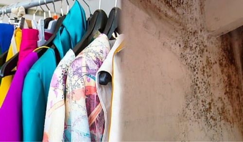 Gammelt toej der haenger paa en knage