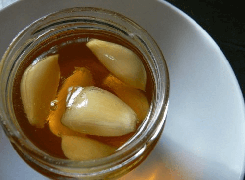 Honning og hvidloeg