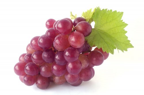 Vindruer