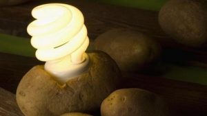 Find ud af, hvordan man laver en lampe af kartofler