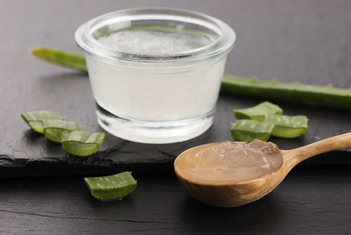 Aloe vera