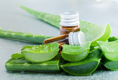 Aloe vera