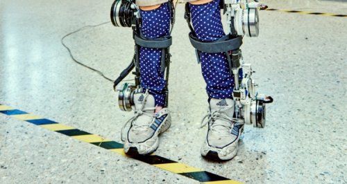 Boerne foedder med exoskelet