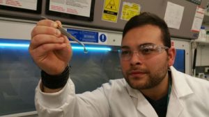 Disse hydrogel hornhinder kan give synet tilbage hos millioner