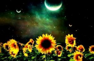 De mest værdifulde ting i livet er ikke vores materielle besiddelser, men vores følelsesmæssige bånd