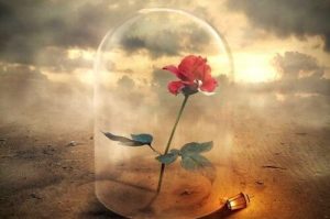 Lidelse skaber folk med stærkere åndelighed