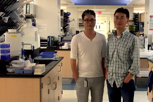 To maend i et laboratorie