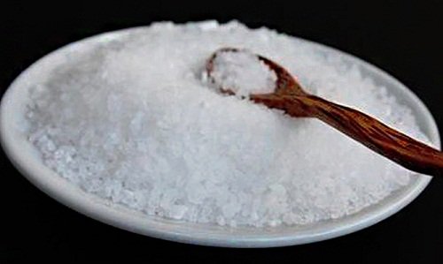 Tallerken med salt