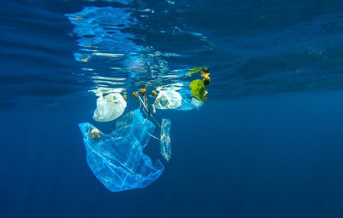 Plastik i havet