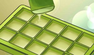 De forbløffende fordele ved at fryse aloe vera