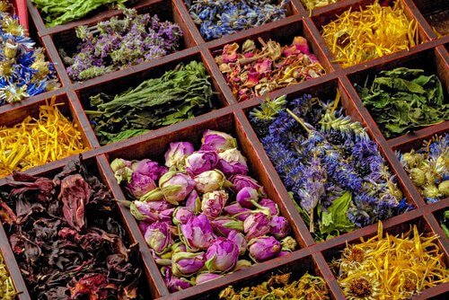 En masse forskellige naturlige urter