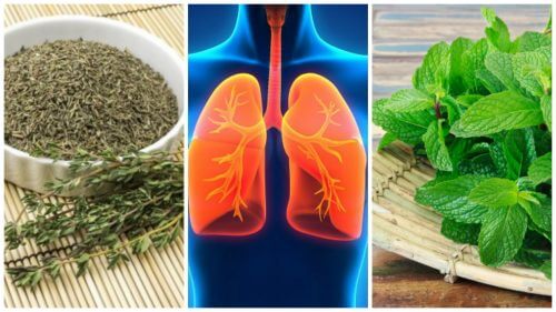 8 urter til at forbedre dine lungers sundhed