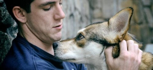 Mand der sidder og kæler sin hund