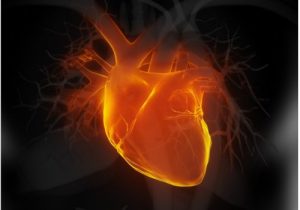 Hold øje med disse 6 tidlige tegn på hjertesvigt