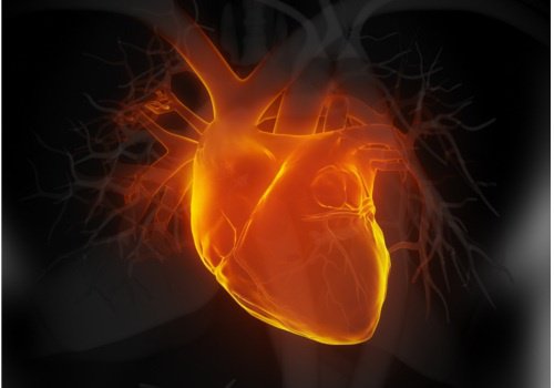Hold øje med disse 6 tidlige tegn på hjertesvigt