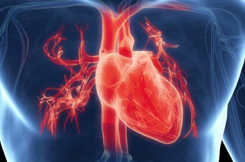 7 symptomer på, at dit hjerte ikke fungerer korrekt