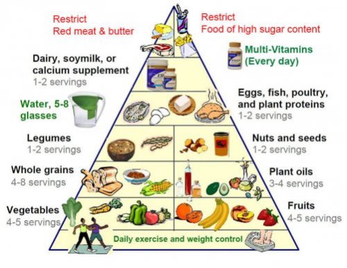 Den nye kostpyramide for en sund livsstil