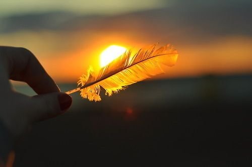 En fjer ved solopgang - lidenskaben taendes