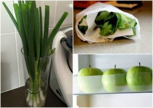 9 fif til at holde din mad frisk længere