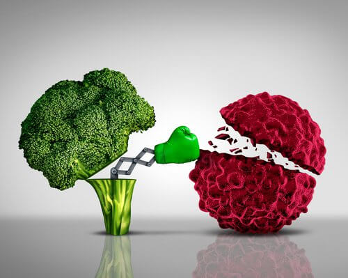 Broccoli der bokser en kraeftcelle