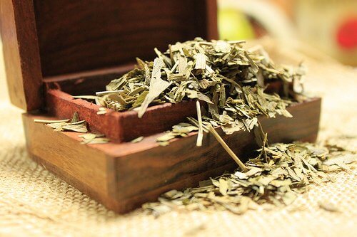 Krydderier mod tinnitus