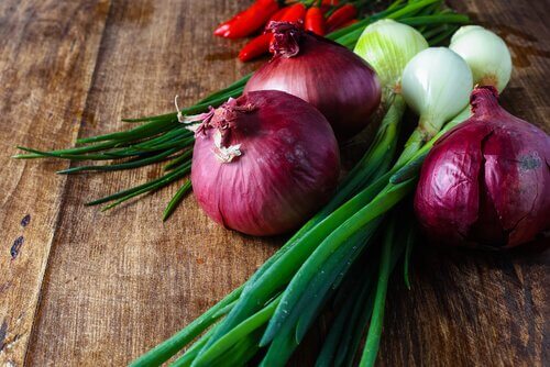 Løg og forårsløg