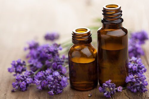 Lavendel olie til fodsvamp