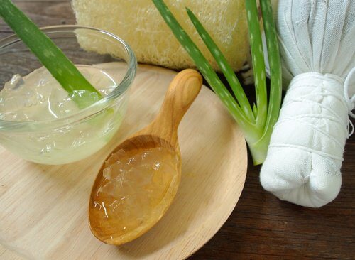 Aloe vera mod åreknuder