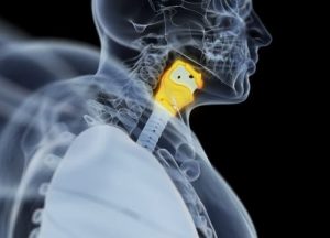 Hvad er hypothyroidisme? Alt du behøver at vide