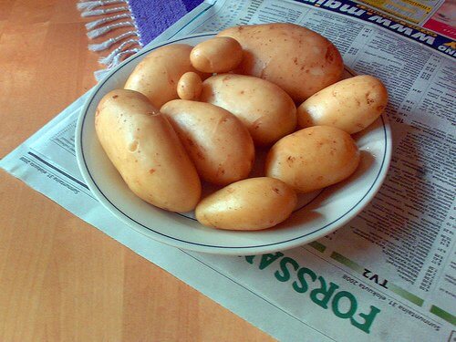 Kartofler pa en tallerken