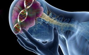 9 overraskende virkninger af lave serotonin niveauer