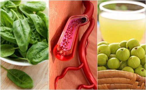 5 fødevarer til sundere blod og en glad krop